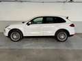 Porsche Cayenne 3.0 V6 tdi 245cv tiptronic Alb - thumbnail 8