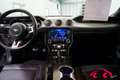 Ford Mustang MUSTANG 5.0 TI-VCT V8 CONVERTIBLE/CABRIO GT PREMIU Grau - thumbnail 5