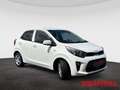 Kia Picanto 1.0 Vision Automatik Navi Kamera  Allwetter Weiß - thumbnail 8
