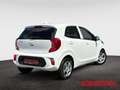 Kia Picanto 1.0 Vision Automatik Navi Kamera  Allwetter Weiß - thumbnail 6