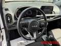 Kia Picanto 1.0 Vision Automatik Navi Kamera  Allwetter Weiß - thumbnail 16
