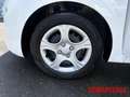 Kia Picanto 1.0 Vision Automatik Navi Kamera  Allwetter Weiß - thumbnail 14