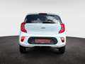 Kia Picanto 1.0 Vision Automatik Navi Kamera  Allwetter Bianco - thumbnail 5