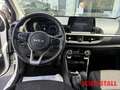 Kia Picanto 1.0 Vision Automatik Navi Kamera  Allwetter Bianco - thumbnail 13