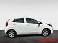 Kia Picanto 1.0 Vision Automatik Navi Kamera  Allwetter Weiß - thumbnail 7
