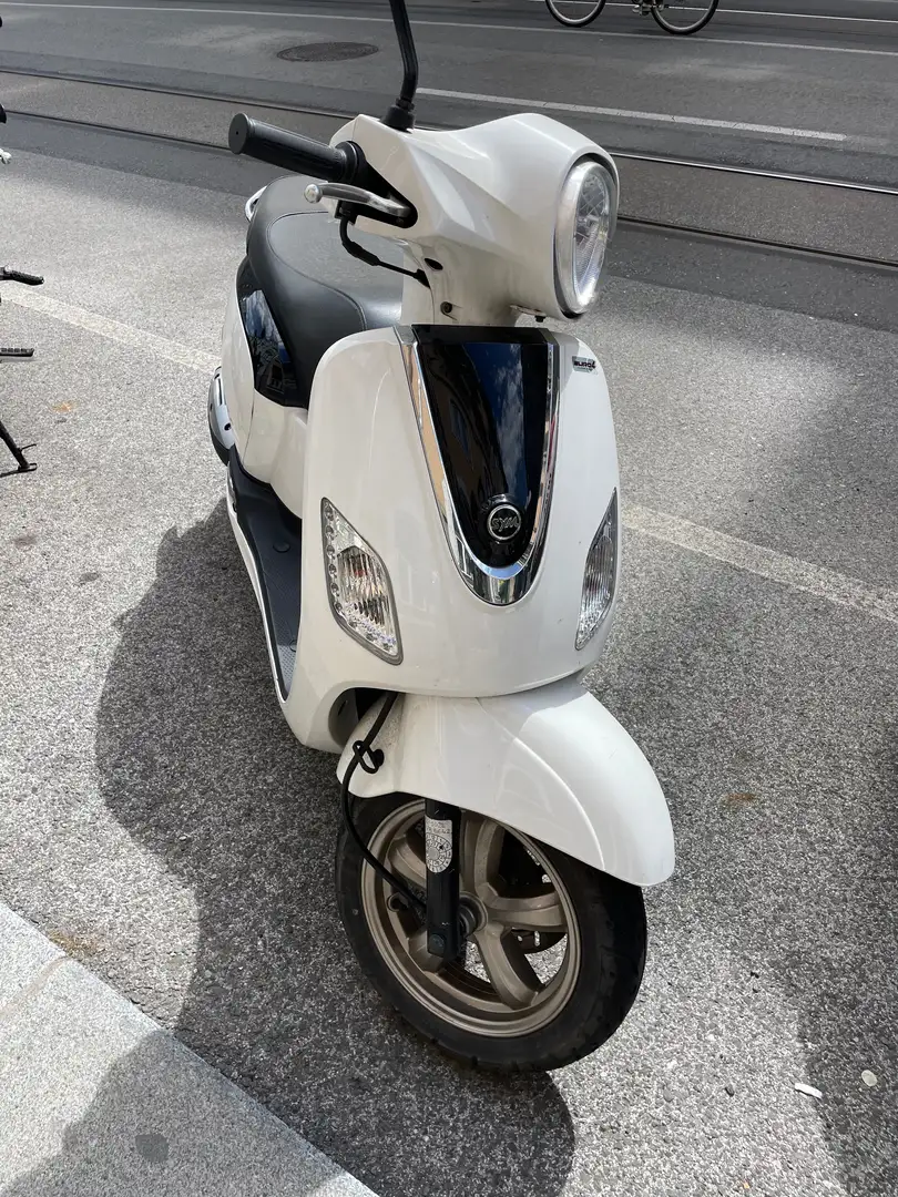 SYM Fiddle 125 Blanc - 2