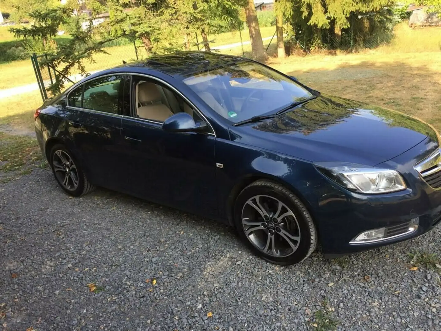 Opel Insignia Insignia 2.0 Turbo 4x4 aut Innovation Blau - 2