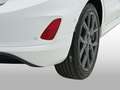 Ford Fiesta 1.0 EcoBoost ST-Line Blanco - thumbnail 25