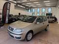 Fiat Punto Punto Classic 1.3 MJT 16V 3 porte Dynamic Bronze - thumbnail 2
