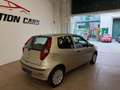 Fiat Punto Punto Classic 1.3 MJT 16V 3 porte Dynamic Bronze - thumbnail 3