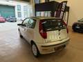 Fiat Punto Punto Classic 1.3 MJT 16V 3 porte Dynamic Bronze - thumbnail 4
