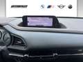 Mazda CX-30 Skyactiv-x180 AWD GT+ Grau - thumbnail 14