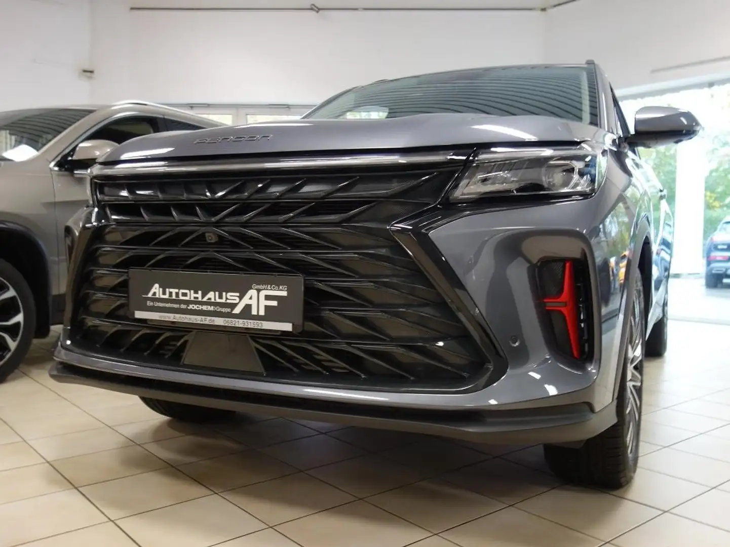 DFSK Fengon 600 Fengon 600 Gris - 2