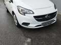 Opel Corsa 5p 1.2 Advance (n-joy) Bianco - thumbnail 13