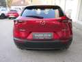 Mazda CX-30 e-Skyactive G140 Homura Aut. Rot - thumbnail 5