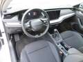 Skoda Octavia Essence TSI Weiß - thumbnail 12
