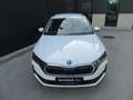 Skoda Octavia Essence TSI Weiß - thumbnail 5