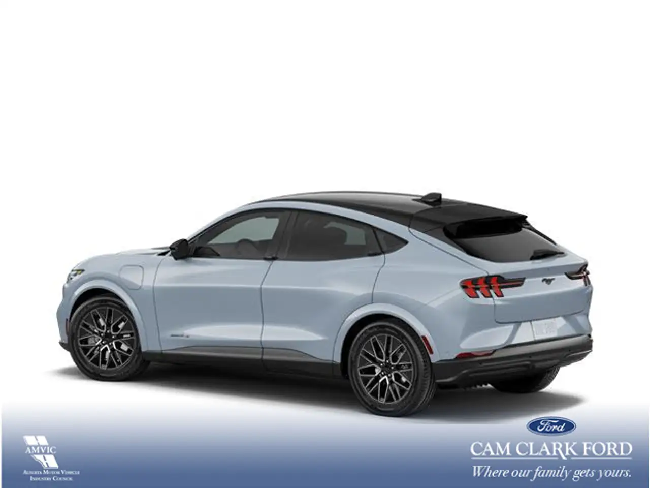 Ford Mustang Mach-E снимка Ford Mustang Mach-E