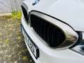 BMW M550 xd, LederTartufo, Individual, BMW-Garantie, 8fach, AHK, Weiß - thumbnail 5