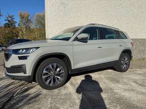 Skoda Karoq Karoq 2.0 TDI SCR 4x4 DSG Ambition