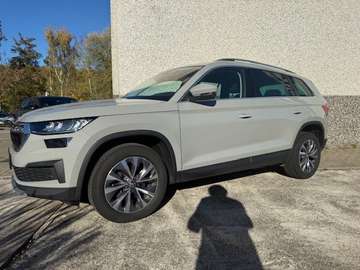 Skoda Kodiaq null