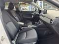 Mazda CX-3 Exclusive-Line Automatik Kamera Keyless LED Weiß - thumbnail 15