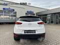 Mazda CX-3 Exclusive-Line Automatik Kamera Keyless LED Weiß - thumbnail 4
