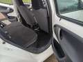 Toyota Aygo Aygo I 2012 5p 1.0 Orange connect (tobasco) Bianco - thumbnail 13