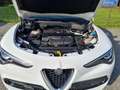 Alfa Romeo Stelvio Super Q4 mit vielen Extras ! Weiß - thumbnail 6