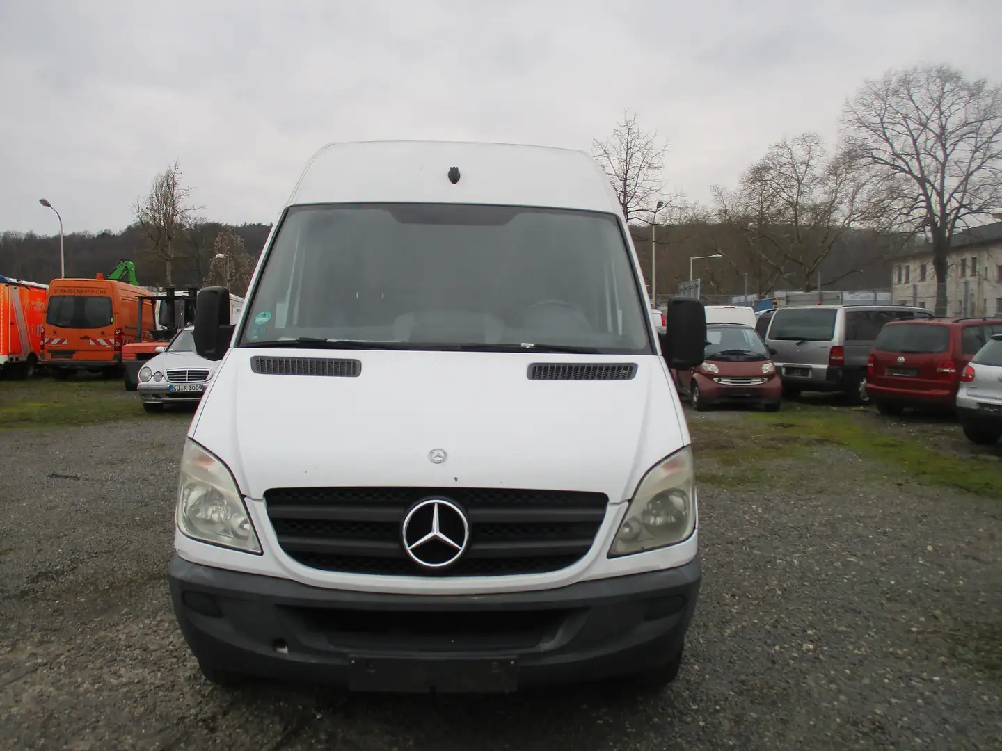 Mercedes-Benz Sprinter 313 CDI Weiß - 1