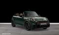 MINI John Cooper Works Cabrio John Cooper Works Cabrio DAB LED Navi ACC Shz Vert - thumbnail 1
