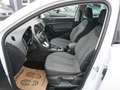 SEAT Ateca 2,0 Style TDI DSG *2023er+VIRTUAL* Weiß - thumbnail 7