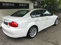 BMW 318 i/1.Hd/33Tkm/Klimatr/Sitzh/Xenon/PDC/Allwette Bílá - thumbnail 5