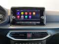 SEAT Arona Arona 2022 1.0 tgi Xperience 90cv Blu/Azzurro - thumbnail 13