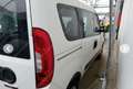 Fiat Doblo 1.3mjt 95cv AUTOCARRO 5 POSTI Bianco - thumbnail 5