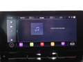 CUPRA Leon Sportstourer 1.5 eTSI Aut LED RADAR LEDER Grau - thumbnail 14
