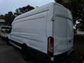 Ford Transit 350 L4 Trend Weiß - thumbnail 8