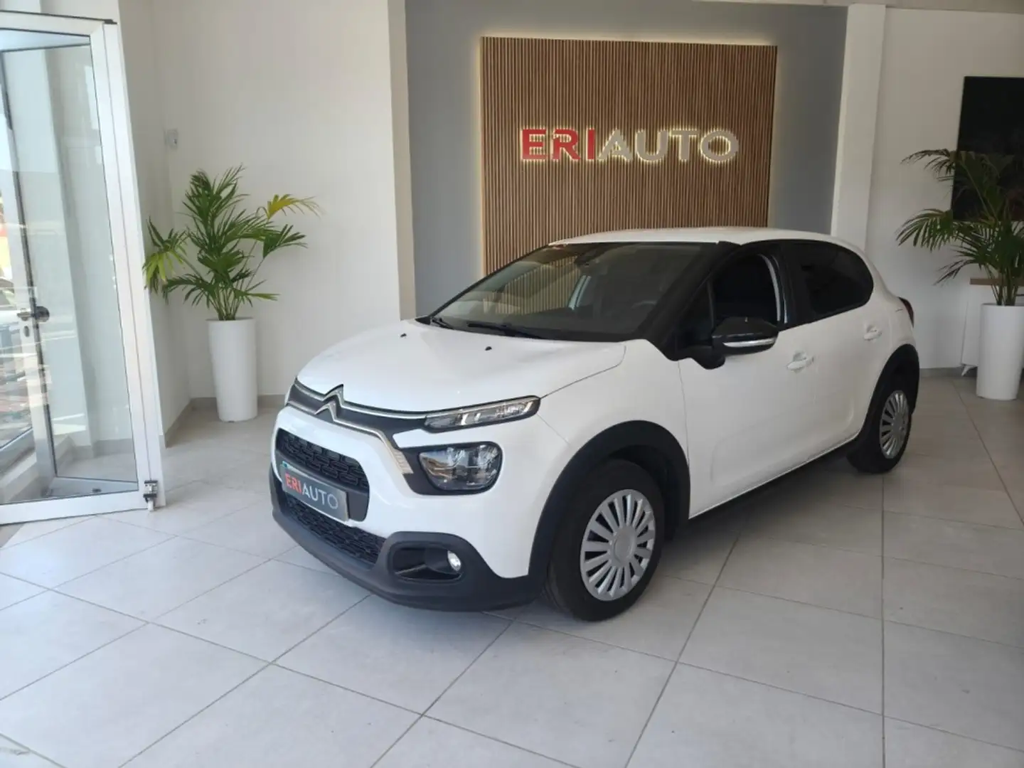 Citroen C3 Comercial BlueHDi S&S 100 Blanco - 1