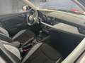 Skoda Kamiq Selection TSI DSG Grau - thumbnail 25