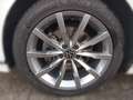Volkswagen Passat Variant 2.0 TDI DSG Elegance AHK Navi Rea Weiß - thumbnail 4