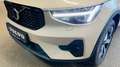 Volvo XC40 B4 Pl. Dark Leder Pano 360° Pilot H&K BLIS Beige - thumbnail 2
