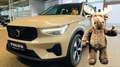 Volvo XC40 B4 Pl. Dark Leder Pano 360° Pilot H&K BLIS Beige - thumbnail 1