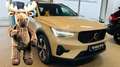 Volvo XC40 B4 Pl. Dark Leder Pano 360° Pilot H&K BLIS Beige - thumbnail 11