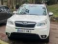 Subaru Forester Forester 2.0TD Executive Plus Executive Plus Blanco - thumbnail 10