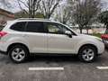 Subaru Forester Forester 2.0TD Executive Plus Executive Plus Blanco - thumbnail 3