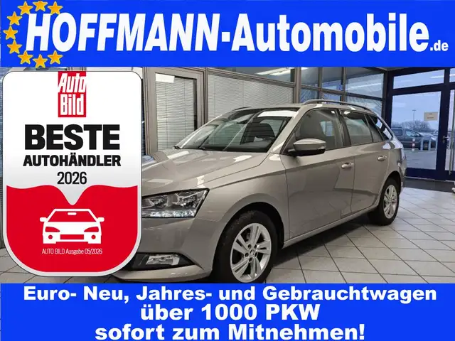 Skoda Fabia Ambition App-Connect,Allwetterreifen