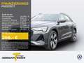 Audi e-tron 50 Q S LINE MATRIX eSITZE LM21 Grau - thumbnail 1