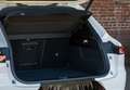Alfa Romeo Tonale 1.6 DS Sprint FWD Gris - thumbnail 13