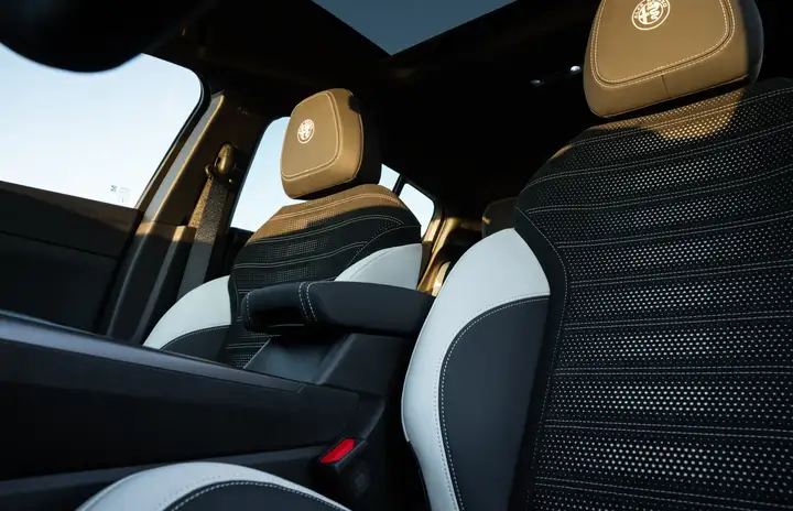 Alfa Romeo Tonale 1,6 DS SPRINT FWD 2022, foto 27