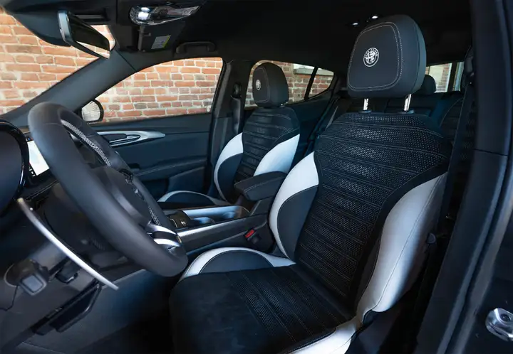 Alfa Romeo Tonale 1,6 DS SPRINT FWD 2022, foto 15
